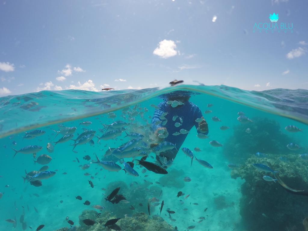 Acqua Blu 3* Rasdhoo