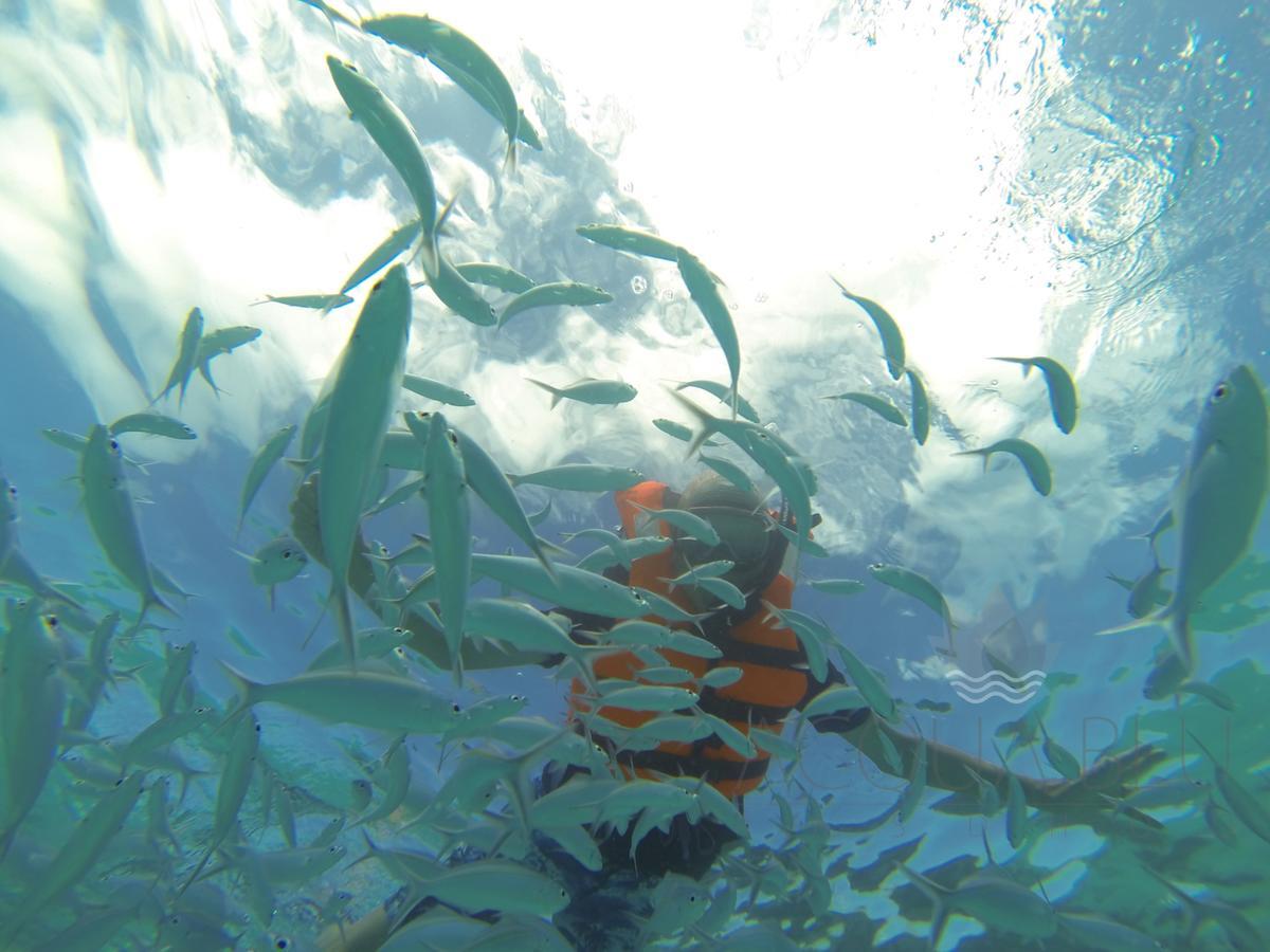 Acqua Blu 3* Rasdhoo